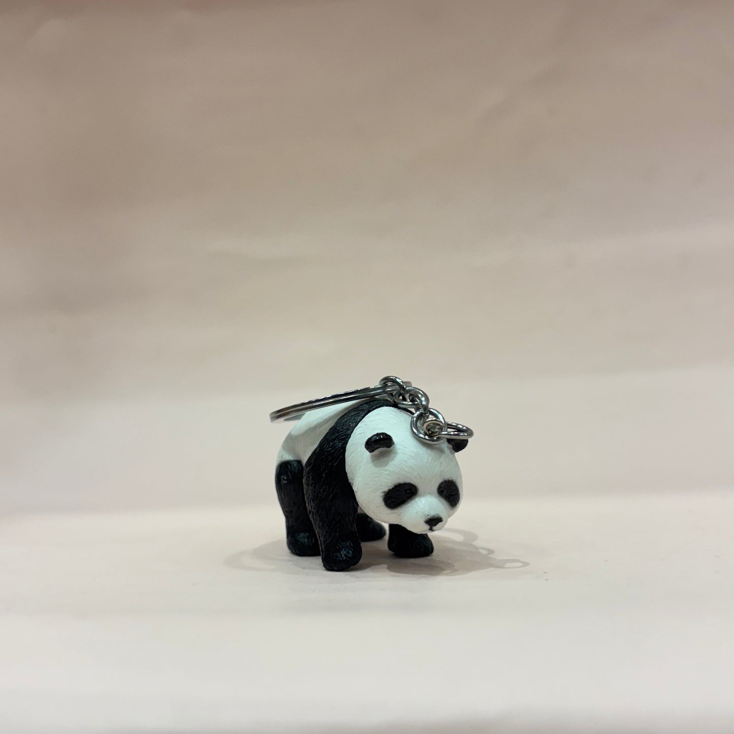 Cute Panda Collection