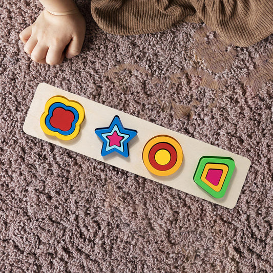 Color Matching Sorting Board Montessori