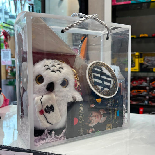 Magical Harry Potter Themed Rakshabandhan Gift Hamper for Brothers & Fans