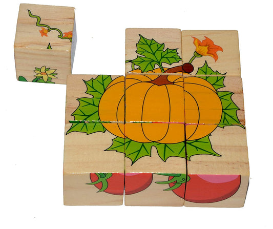 Wood Block Puzzles for Small Kids.